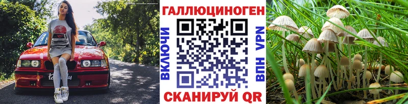 продажа наркотиков  Жуковский  Псилоцибиновые грибы мицелий 
